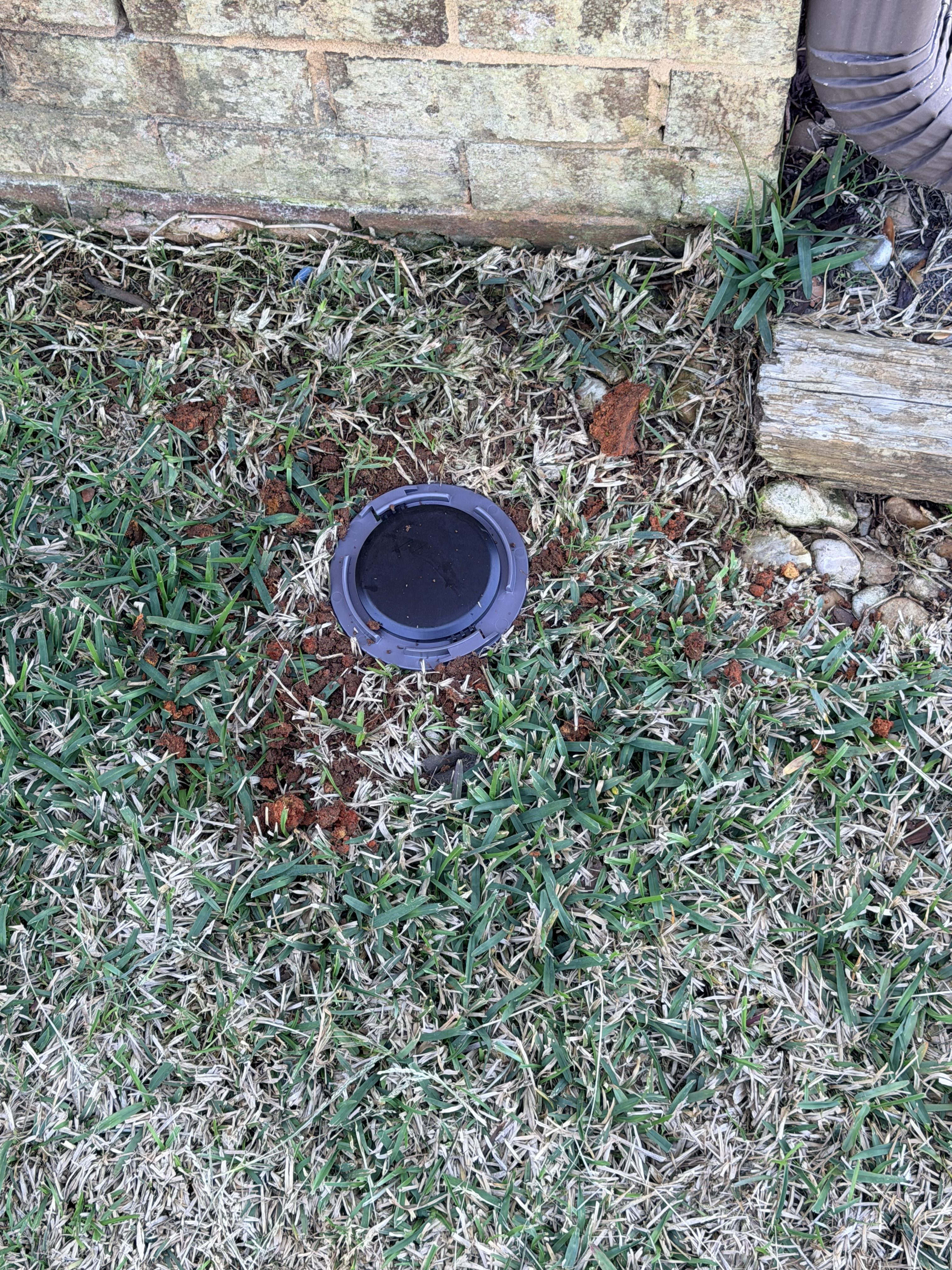 In-Ground Bait Stations vs. Liquid Termite Treatments: Which Is Better?