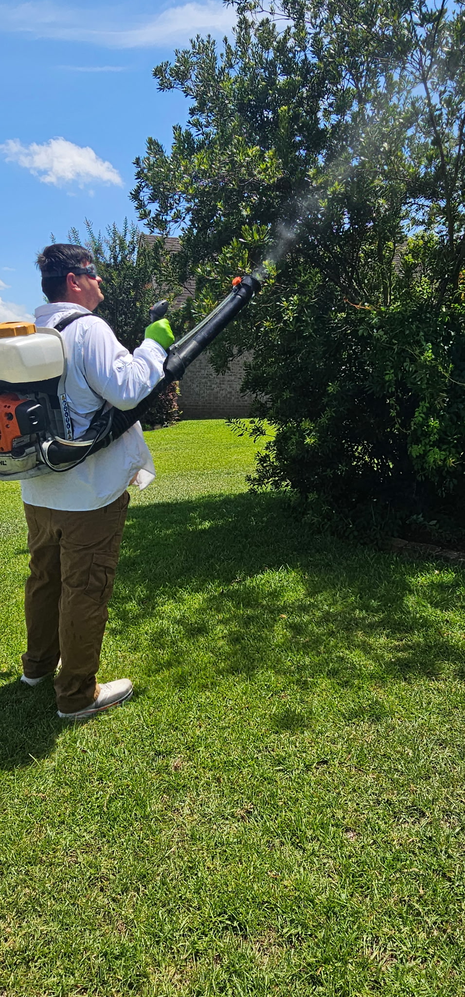 Why Mosquitoes Are So Bad In Daphne, Alabama Right Now