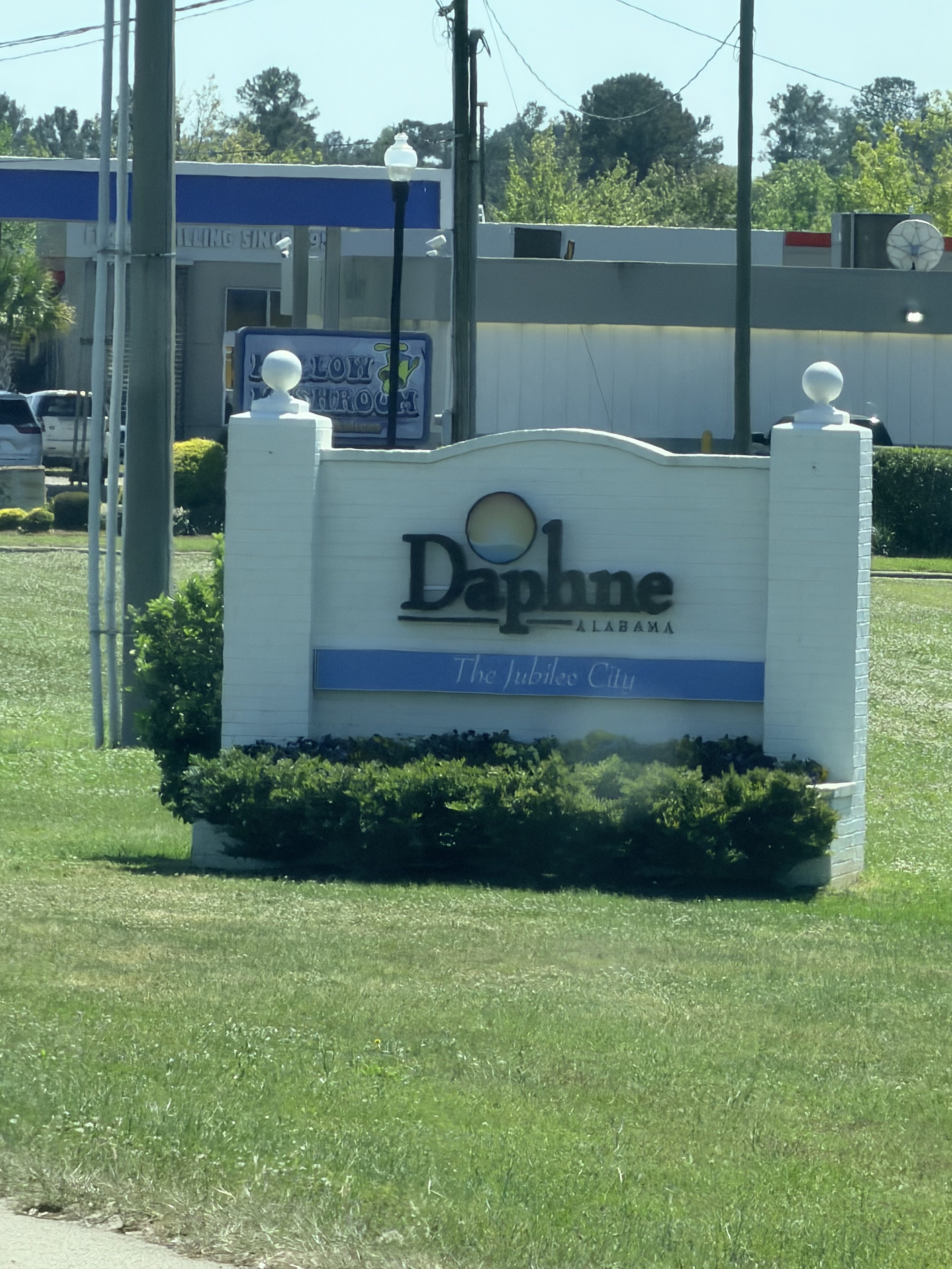 How to Reduce Mosquitoes Around Your Daphne Home After Heavy Rain