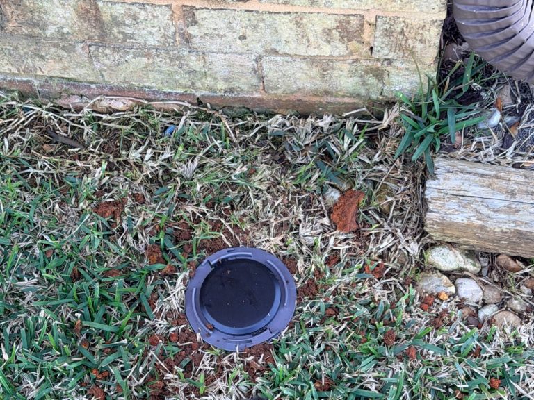 In-Ground Termite Bait Station Installed For Ongoing Protection In-ground termite bait station installed beside a home's foundation for ongoing termite monitoring and protection.