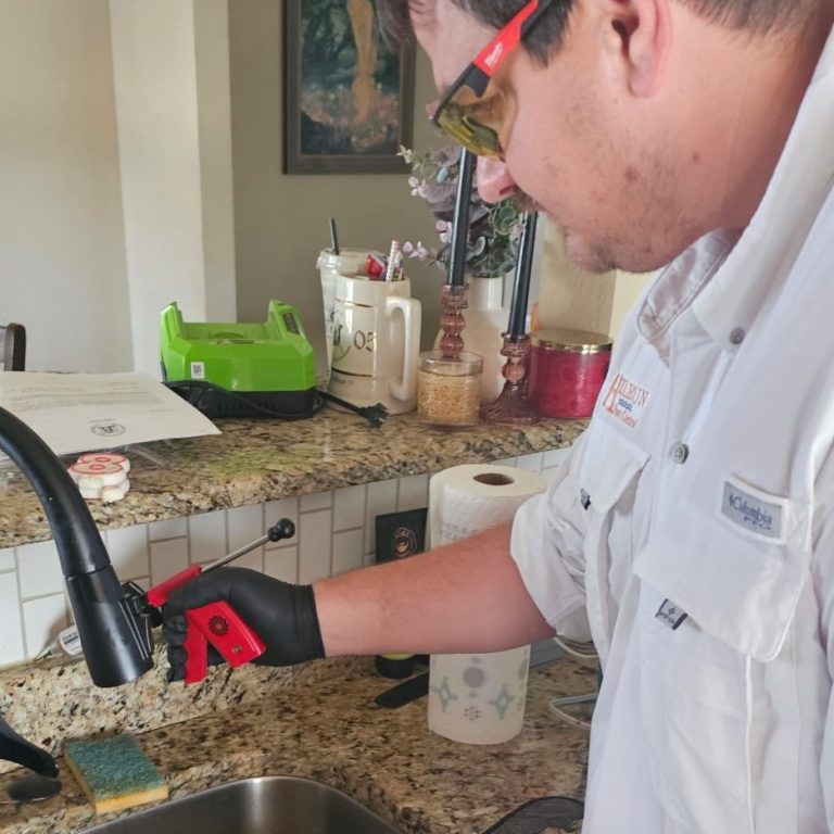 Professional roach control treatment in residential kitchen Local pest control technician applying roach bait in kitchen sink area for residential cockroach treatment