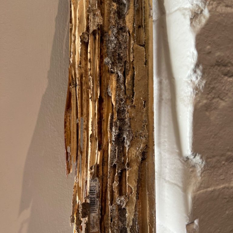 Signs of Termite Wood Damage Close-up of wood damage showing signs consistent with possible termite activity.