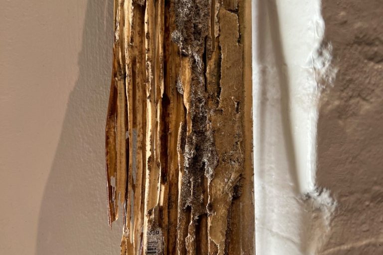 Hilbun Pest Control finds termite damage in Fairhope home and performs treatment