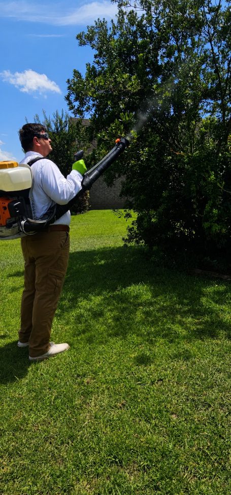Hilbun Pest Control technician using a backpack fogger to treat trees and landscaping for mosquitoes.