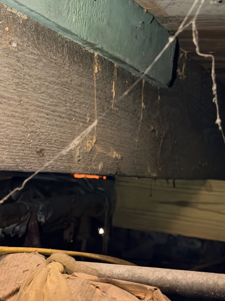 Termite Damage Found in a Bay Minette Crawlspace Structural wood showing termite damage inside a crawlspace during a termite inspection in Bay Minette, AL.