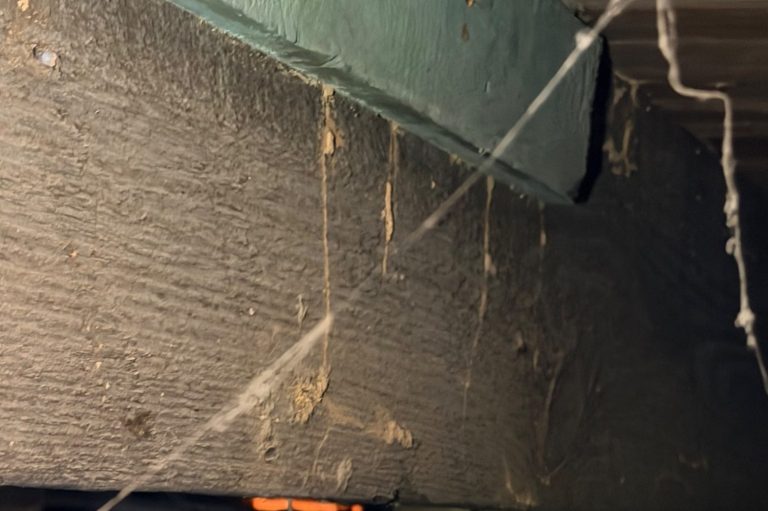 Termite Activity Found in Crawl Space Evidence of termite activity on structural wood inside a residential crawl space.