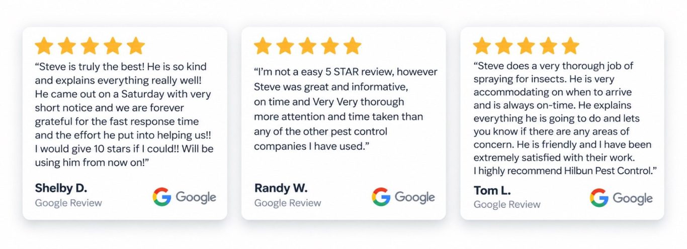 Hilbun Pest Control Customer Google Reviews Three five-star Google reviews from customers praising Hilbun Pest Control for thorough, responsive, and professional service.