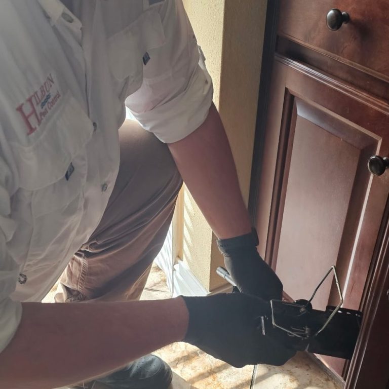 Interior Rodent Control in Daphne, AL Hilbun Pest Control technician placing a snap trap behind a refrigerator as part of an interior rodent control service in Daphne, Alabama.