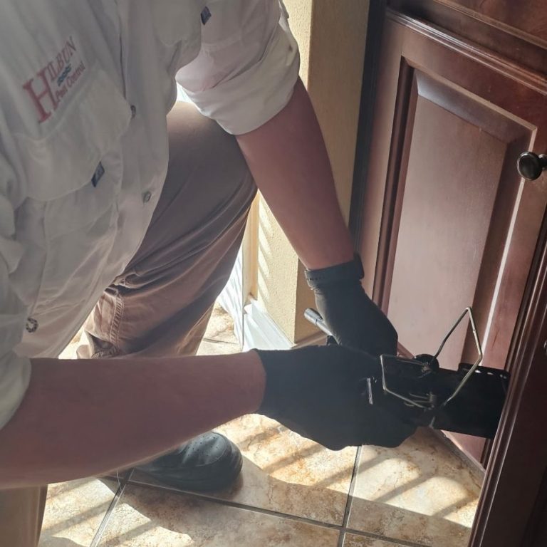 Rodent Control in Baton Rouge, Louisiana Hilbun Pest Control technician setting a snap trap inside a home to control rodent activity.