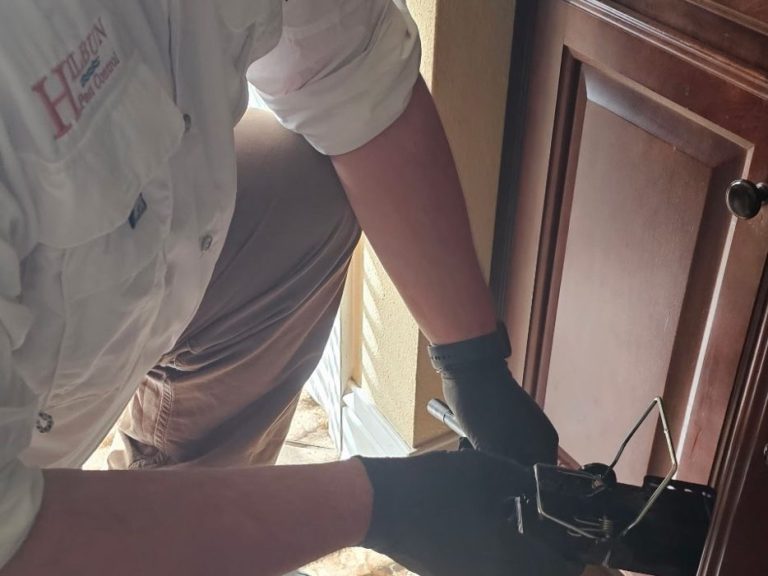 Hilbun Pest Control tech checks rodent trap in Fairhope, AL home