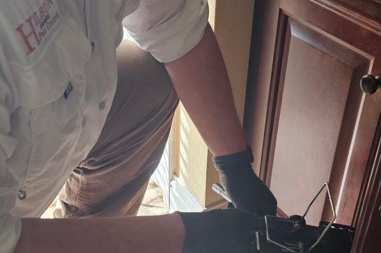 Hilbun Pest Control placing a rat snap trap in kinten sink in Fairhope home