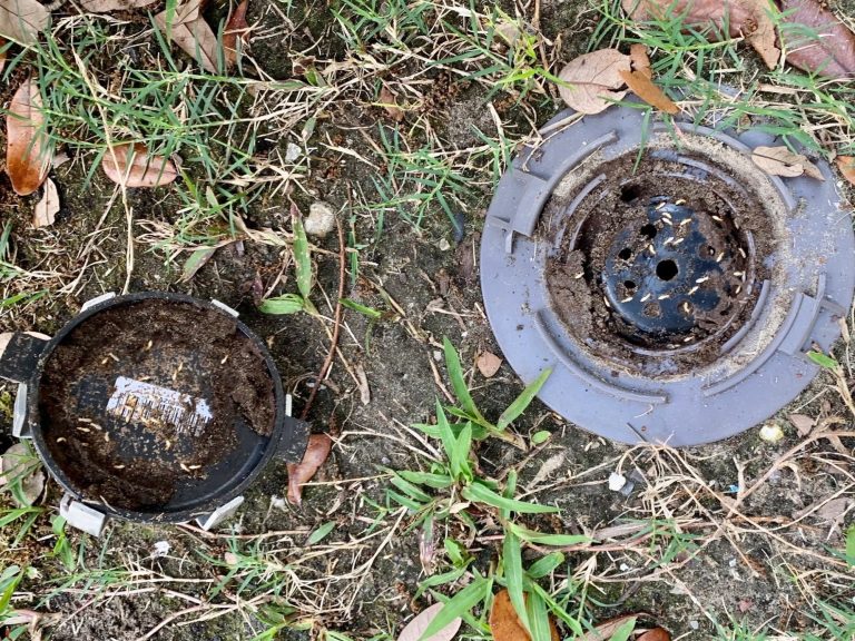 How Trelona® Bait Stations Work Open Trelona termite bait station showing active termites feeding inside the monitoring and colony elimination system.