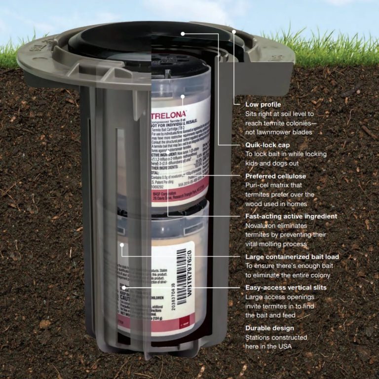 What Are Termite Bait Stations? A Smarter Way to Monitor and Eliminate Termites In-ground termite bait station showing bait cartridges and monitoring system designed to eliminate termite colonies.