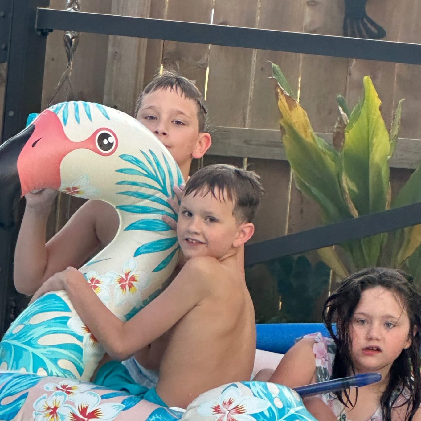 Children playing in backyard pool enjoying a mosquito-free yard in Daphne, Alabama