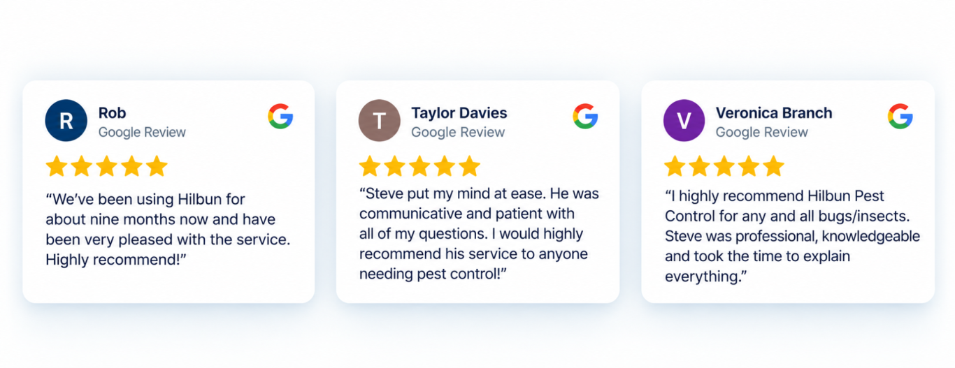 Hilbun Pest Control Reviews from Daphne Homeowners Five-star Google reviews from Hilbun Pest Control customers highlighting professional, thorough, and responsive pest control service.