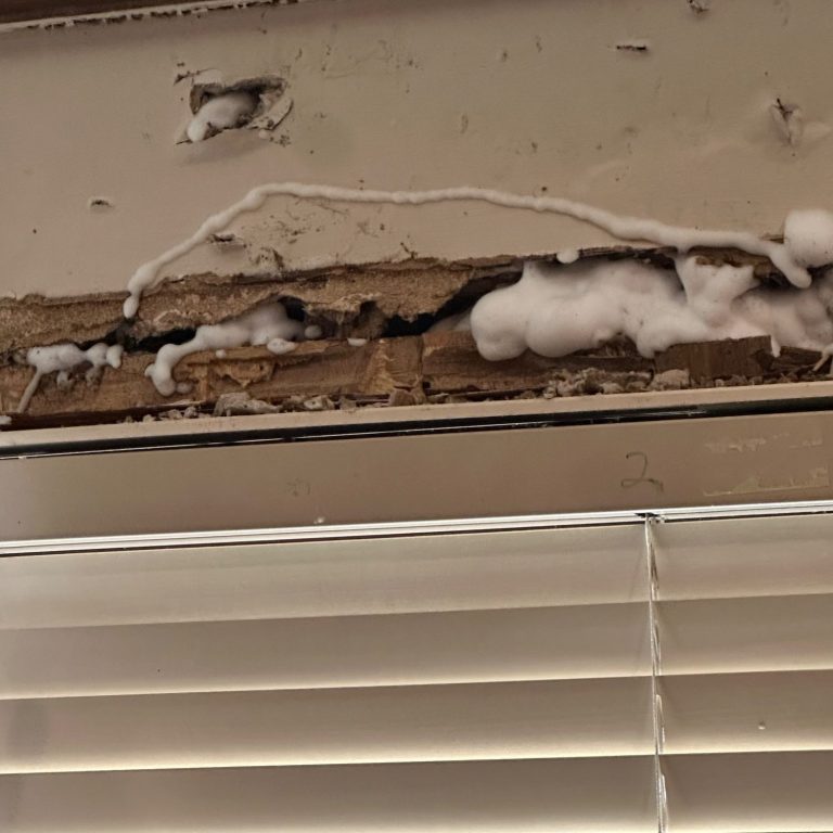 Termite damage Close-up of termite-damaged wood above a window in Alabama home