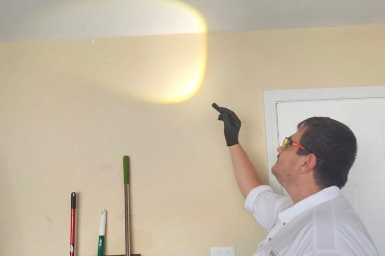 Spider web removal in residential home