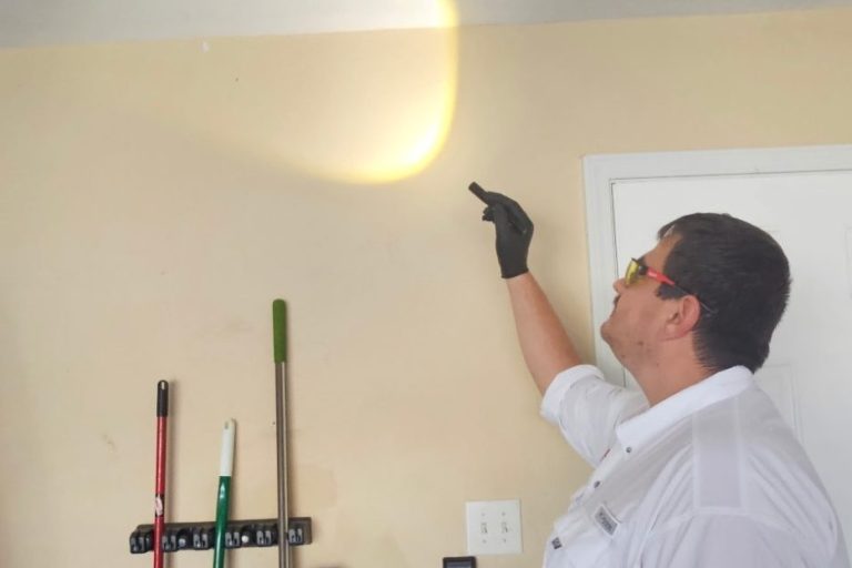 Pest  technician examining potential termite damage in a Daphne, AL garage using a flashlight, checking where the wall and ceiling meet
