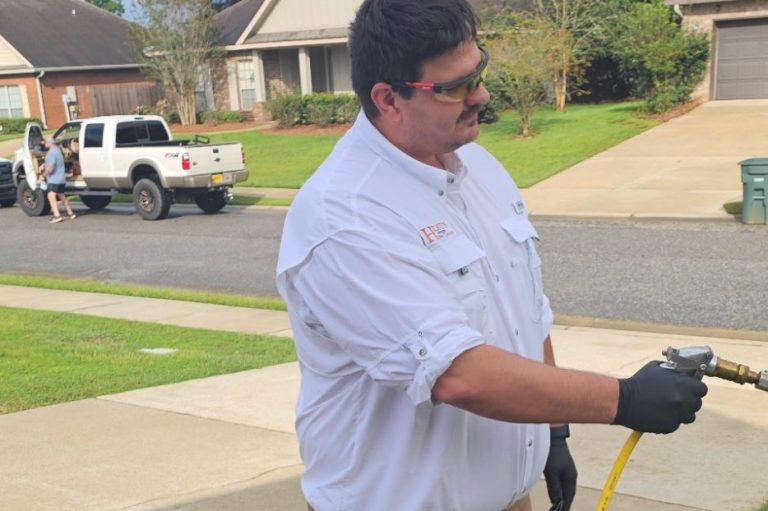 Mosquito control treatment in Fairhope backyard