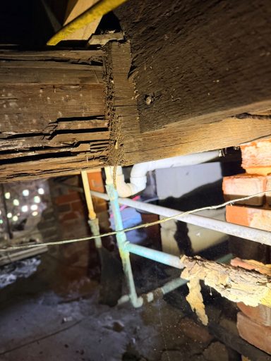 Professional Crawl Space Pest Inspection Hilbun Pest Control technician performing a crawl space inspection beneath a home.