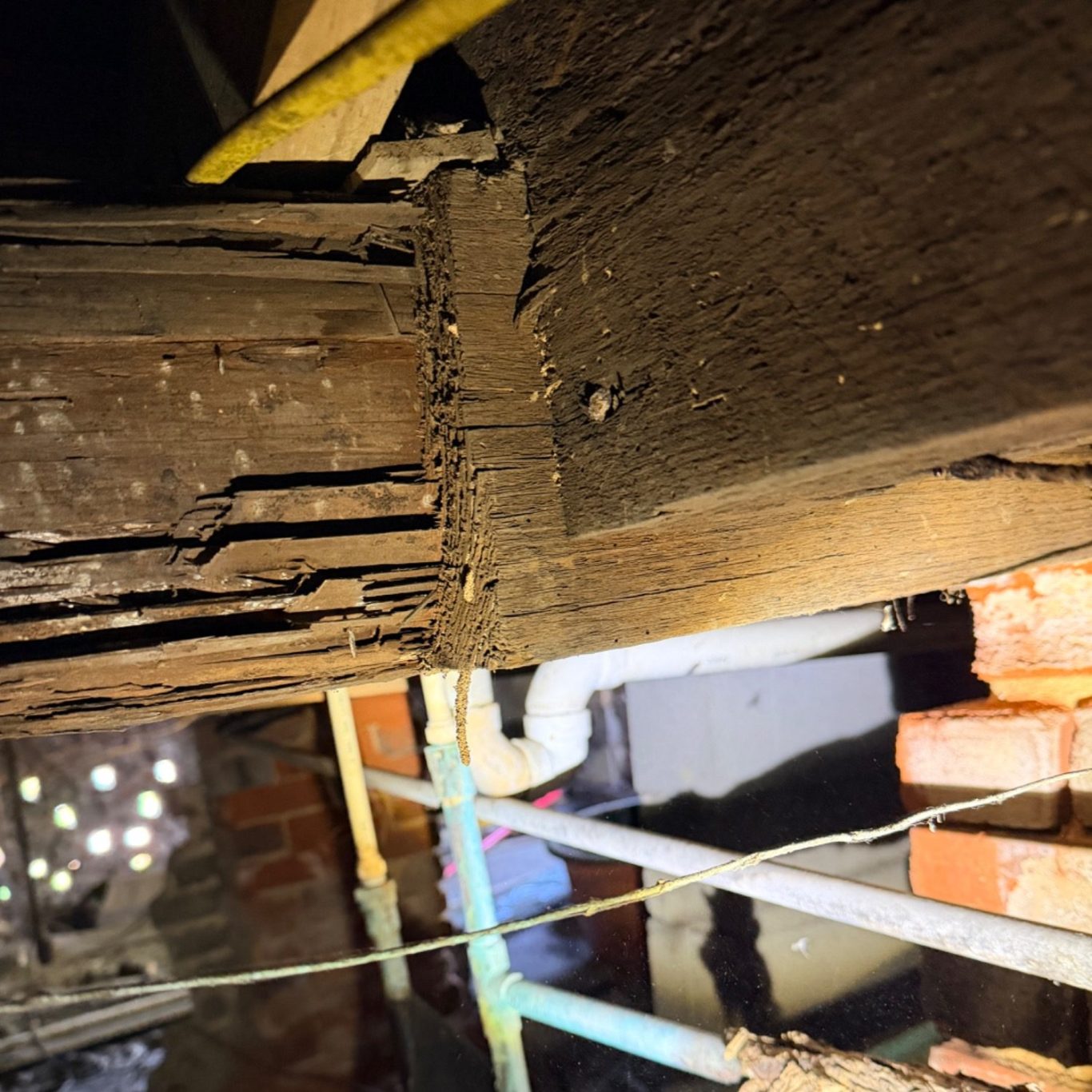 Possible Termite Damage in a Crawl Space Support beam beneath a pier-and-beam home showing signs of possible termite damage during an inspection.