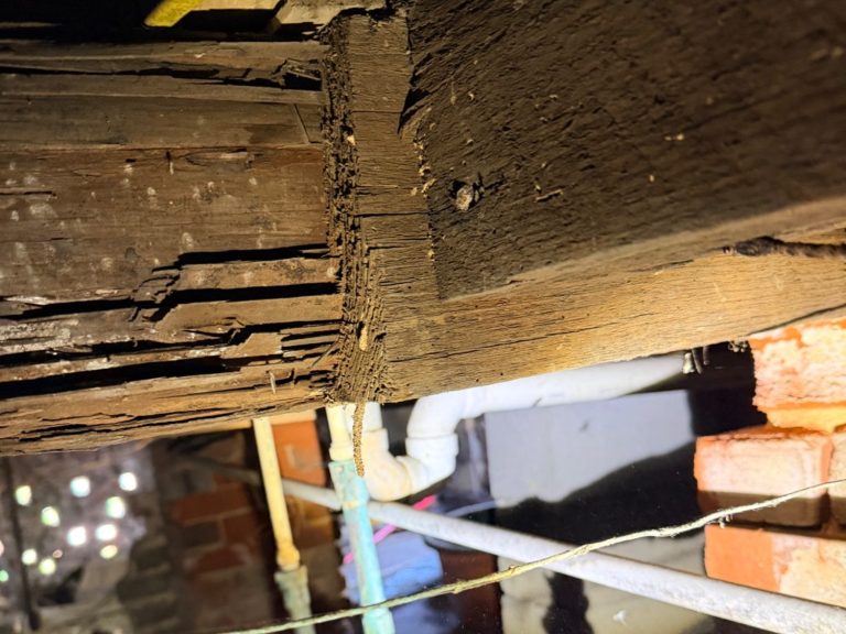 Termite Damage to Structural Wood | Hilbun Pest Control Severe termite damage to wood discovered during a crawlspace inspection by Hilbun Pest Control.