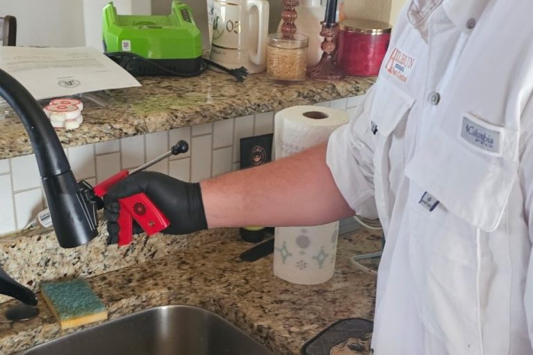 Cockroach infestation in Fairhope home