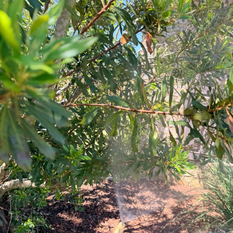 Mosquito Treatment for Shaded Landscape Beds in Fairhope, Alabama | Hilbun Pest Control Professional mosquito treatment being applied to moist, shaded landscape beds where mosquitoes commonly rest during the day in Fairhope, Al