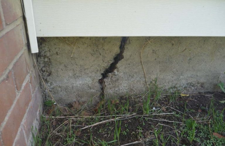 Foundation Crack Termite Entry Point Foundation crack creating a potential subterranean termite entry point into the structure