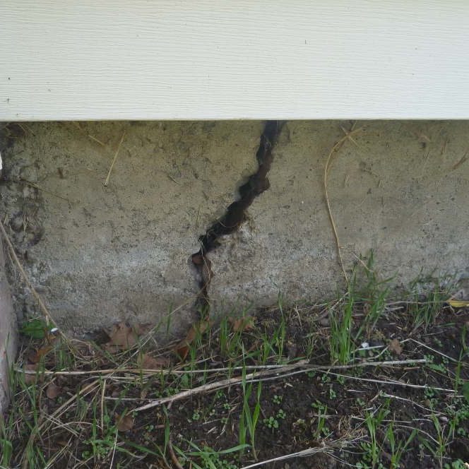 Termite Mud Tubes on a Baton Rouge Home Termite mud tubes along the slab foundation of a Baton Rouge home.