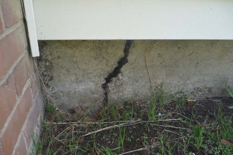 Subterranean Termite Mud Tube in Daphne, AL Active subterranean termite mud tube extending from the soil up a concrete slab foundation during a termite inspection in Daphne, Alabama.