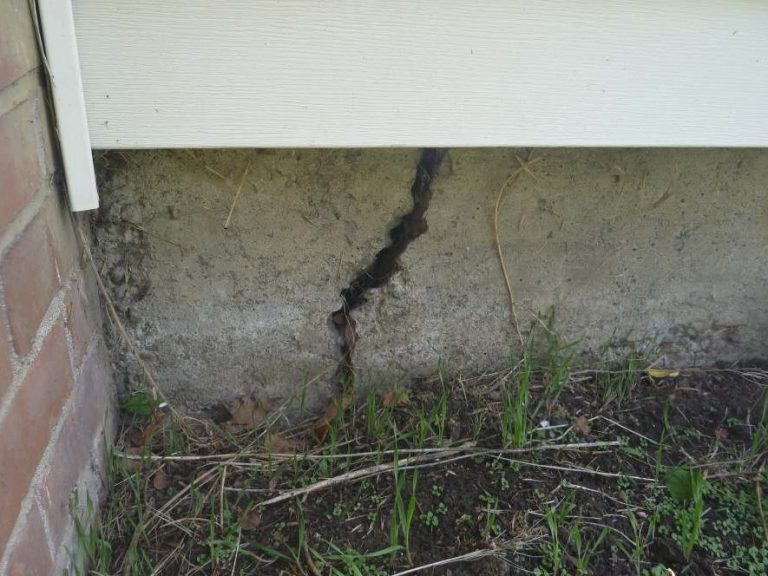 Subterranean Termite Mud Tubes | Hilbun Pest Control Mud tubes built by subterranean termites along a home's foundation during active termite infestation.