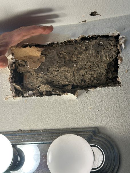 Formosan termite carton discovered inside a wall during a termite inspection at a New Orleans home.