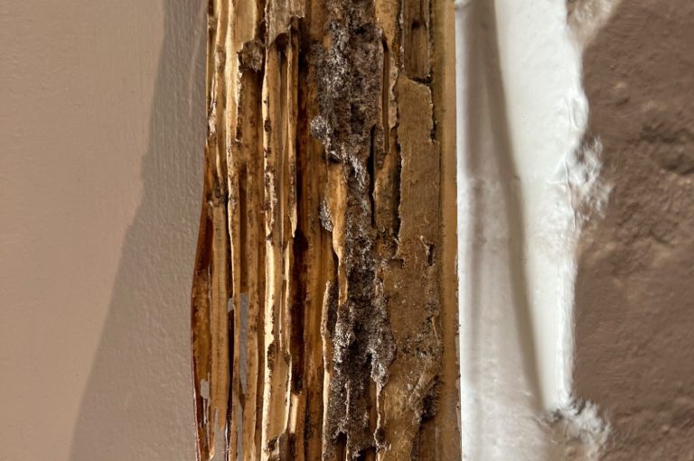 Interior Wood Damage Caused by Termites Severe termite damage inside a wood door frame exposing galleries and structural deterioration.